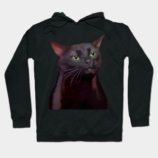 Black cat zoning out meme Hoodie